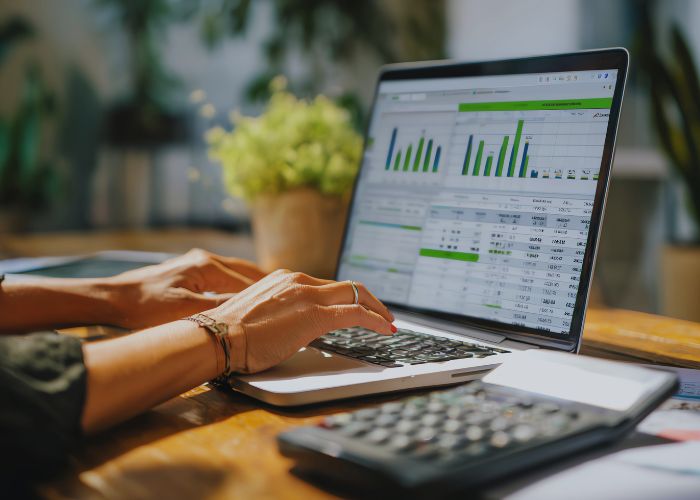 accounting software support (1)