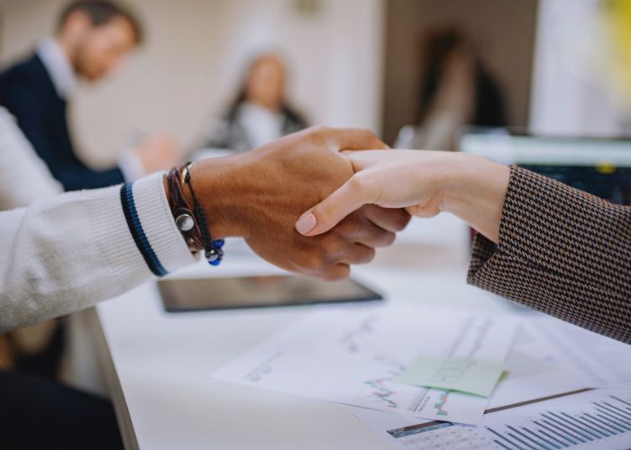 limited liability partnership (llp)